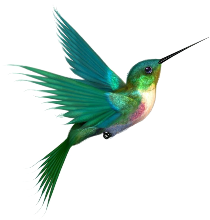 Vibrant Hummingbird In Flight