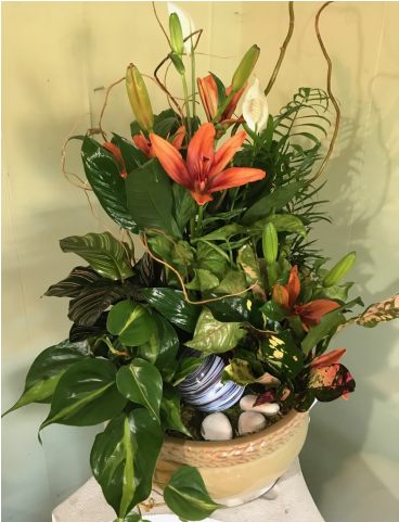 Vibrant Indoor Flower Arrangement