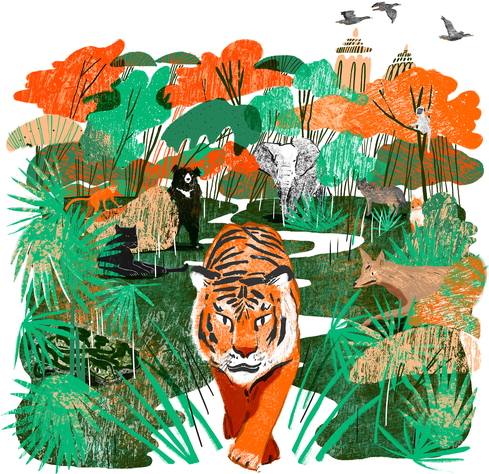 Vibrant_ Jungle_ Wildlife_ Illustration PNG with transparent background