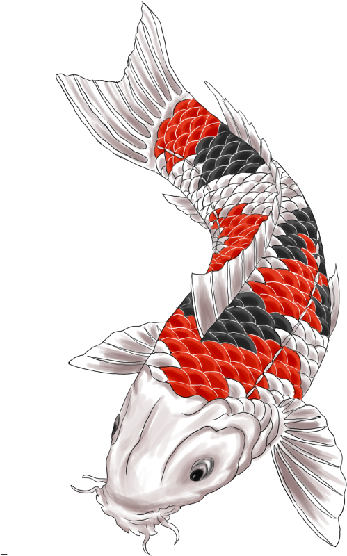 Vibrant Koi Fish Illustration