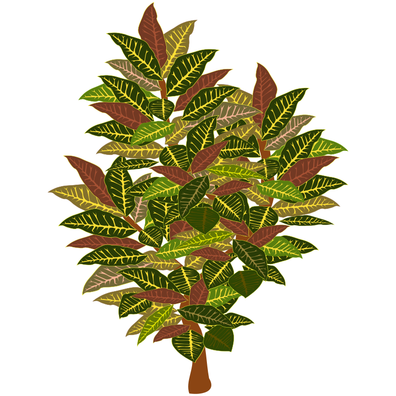 Vibrant Leaves Tree Illustration