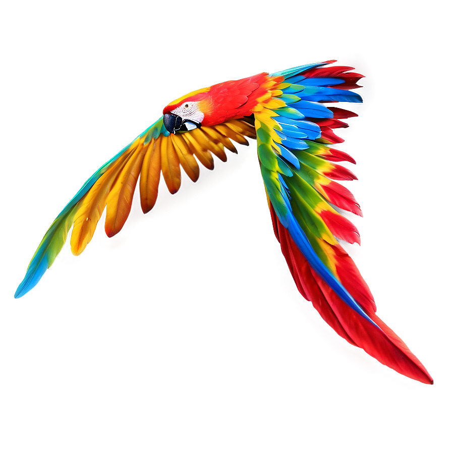 Vibrant Macaw Feather PNG hbm PNG with transparent background