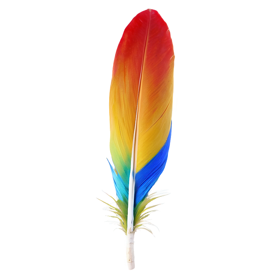 Vibrant Macaw Feather PNG jvs PNG with transparent background