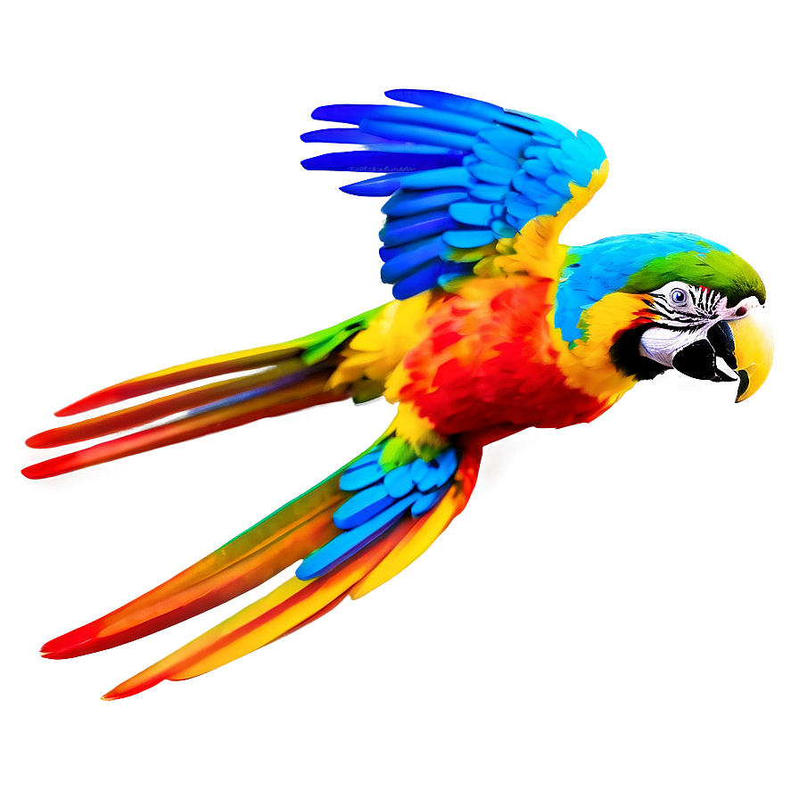 Vibrant Macaw In Flight Png 06122024