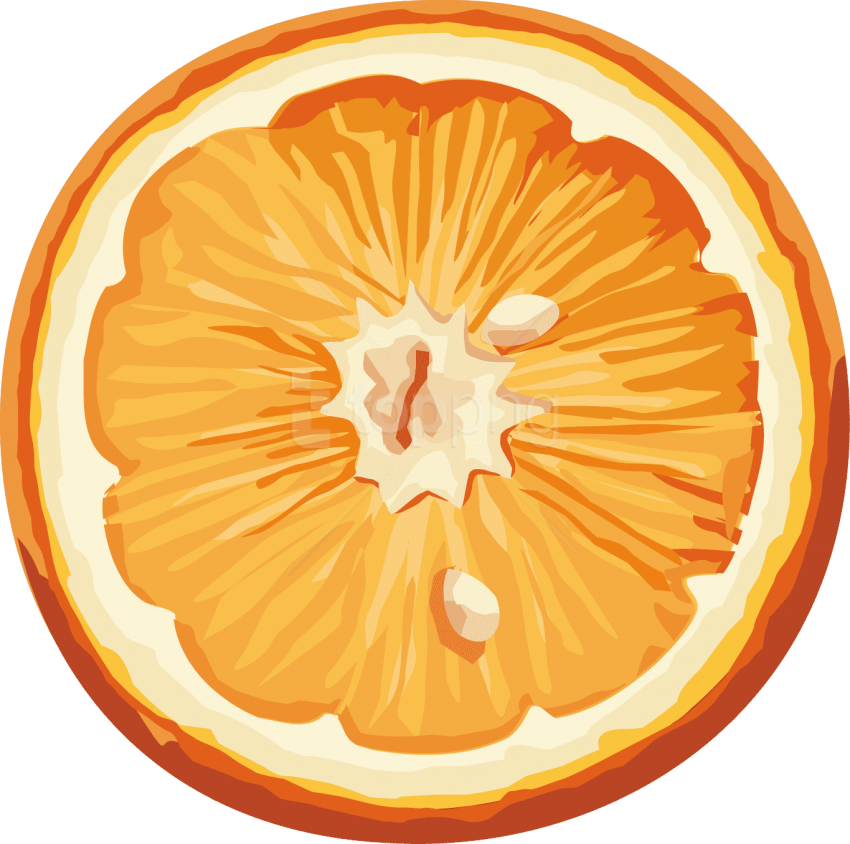 Vibrant Mandarin Slice Illustration