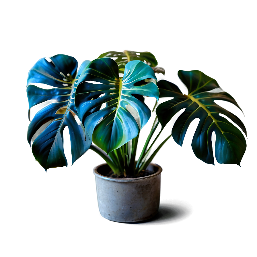 Vibrant Monstera Plant Png Apk99