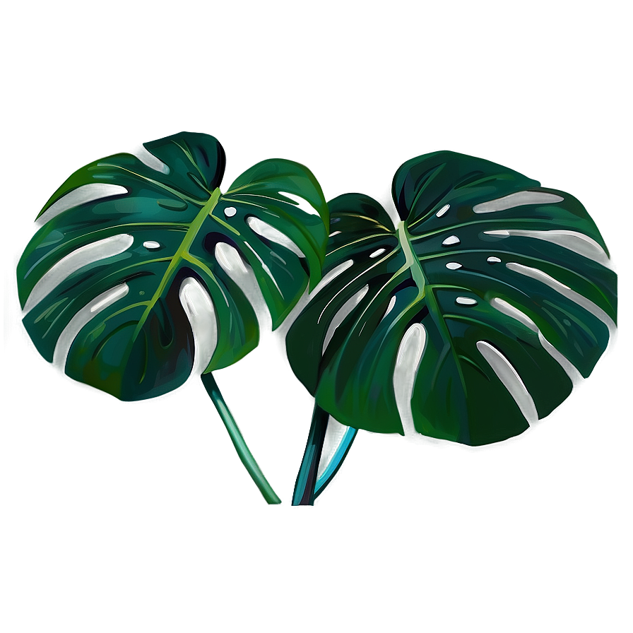 Vibrant Monstera Plant Png Lfp37