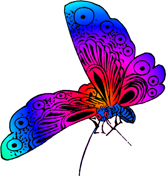 Vibrant Neon Butterfly Art PNG with transparent background