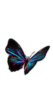 Vibrant Neon Butterflyon Black