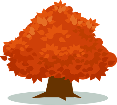 Vibrant Orange Autumn Tree Vector PNG with transparent background