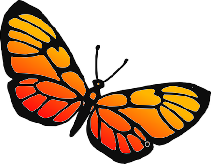 Vibrant Orange Butterfly Graphic