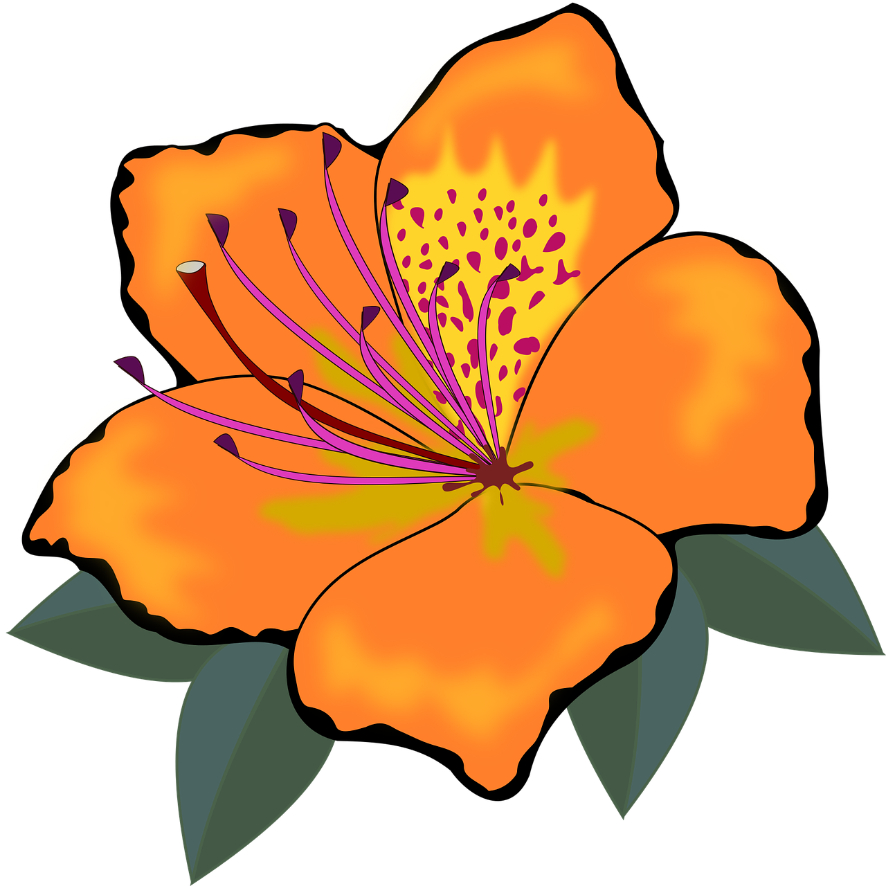 Orange Flower Clipart - Orange Flowers Clip Art, HD Png Download PNG image with a transparent background, free high-resolution download