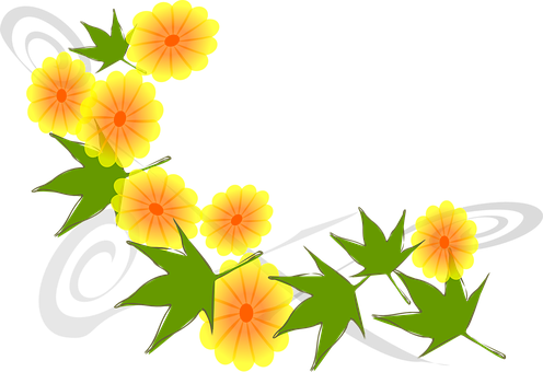Vibrant Orange Flowers Black Background PNG with transparent background