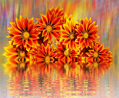 Vibrant Orange Flowers Reflection