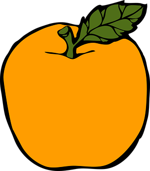Vibrant Orange Fruit Illustration PNG with transparent background
