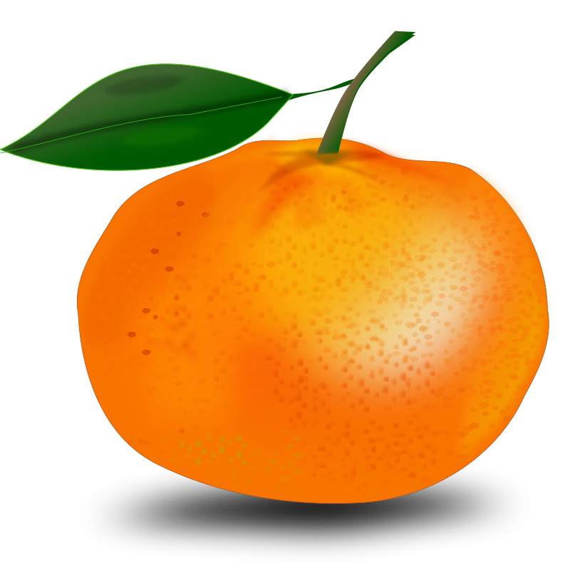 Vibrant Orange Fruit Illustration PNG with transparent background