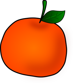 Vibrant Orange Fruit Illustration