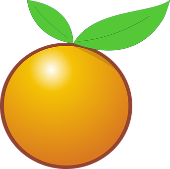 Vibrant Orange Fruit Illustration