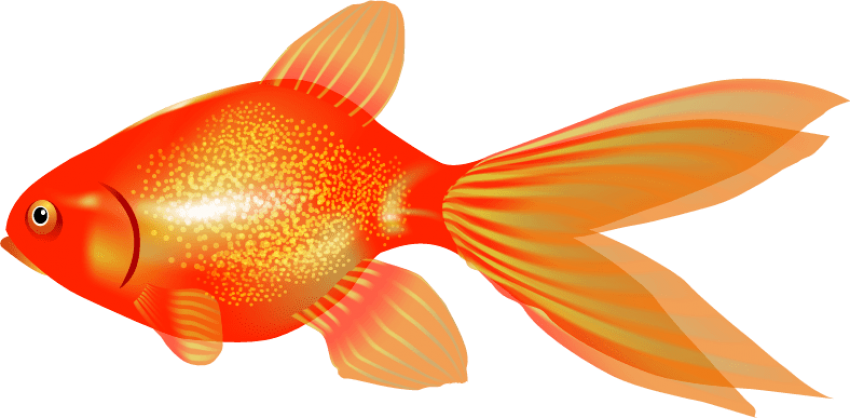 Vibrant Orange Goldfish Illustration