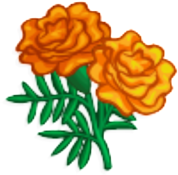 Marigolds Png Transparent - Marigold Clipart, Png Download PNG with transparent background