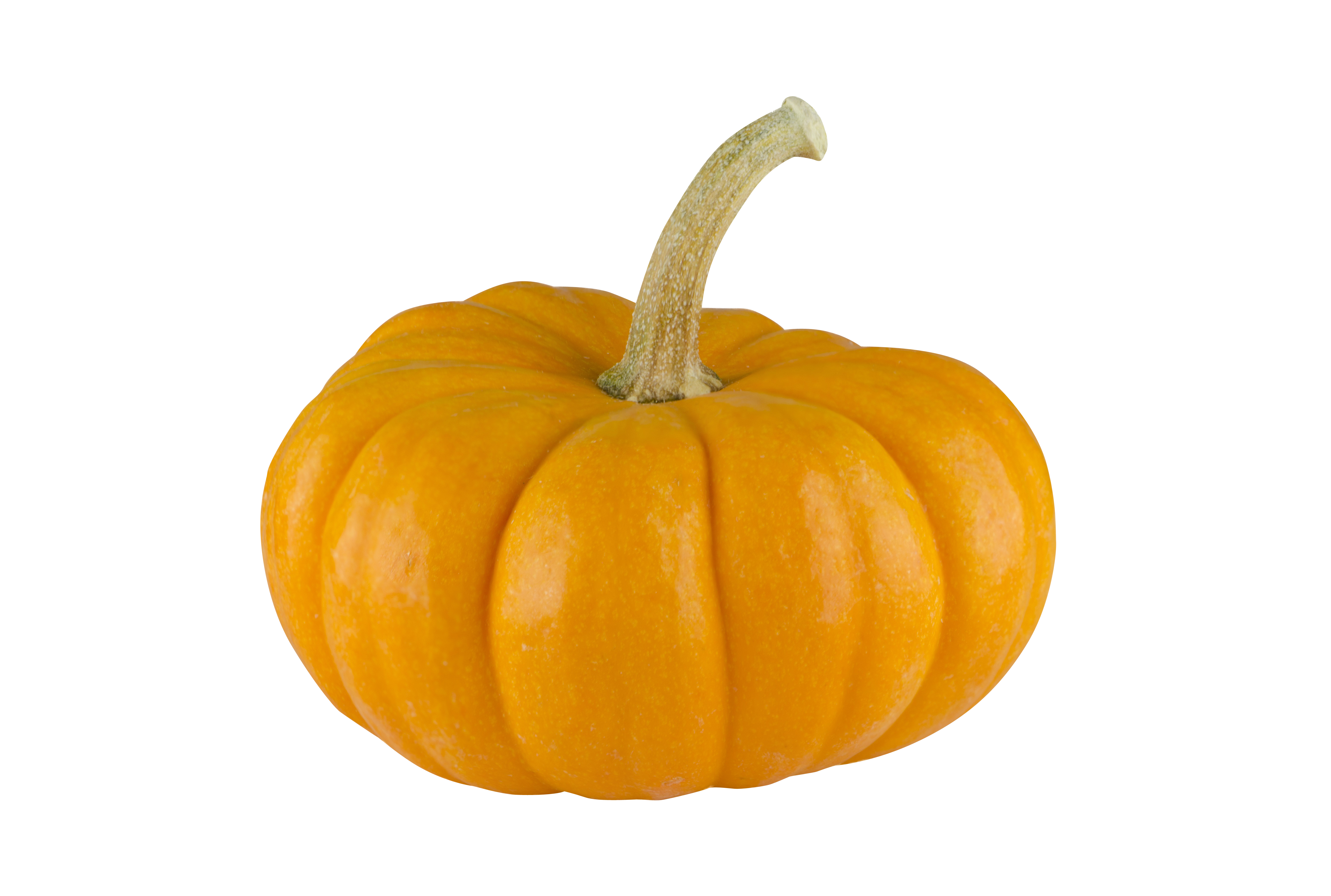 Vibrant Orange Pumpkin Black Background