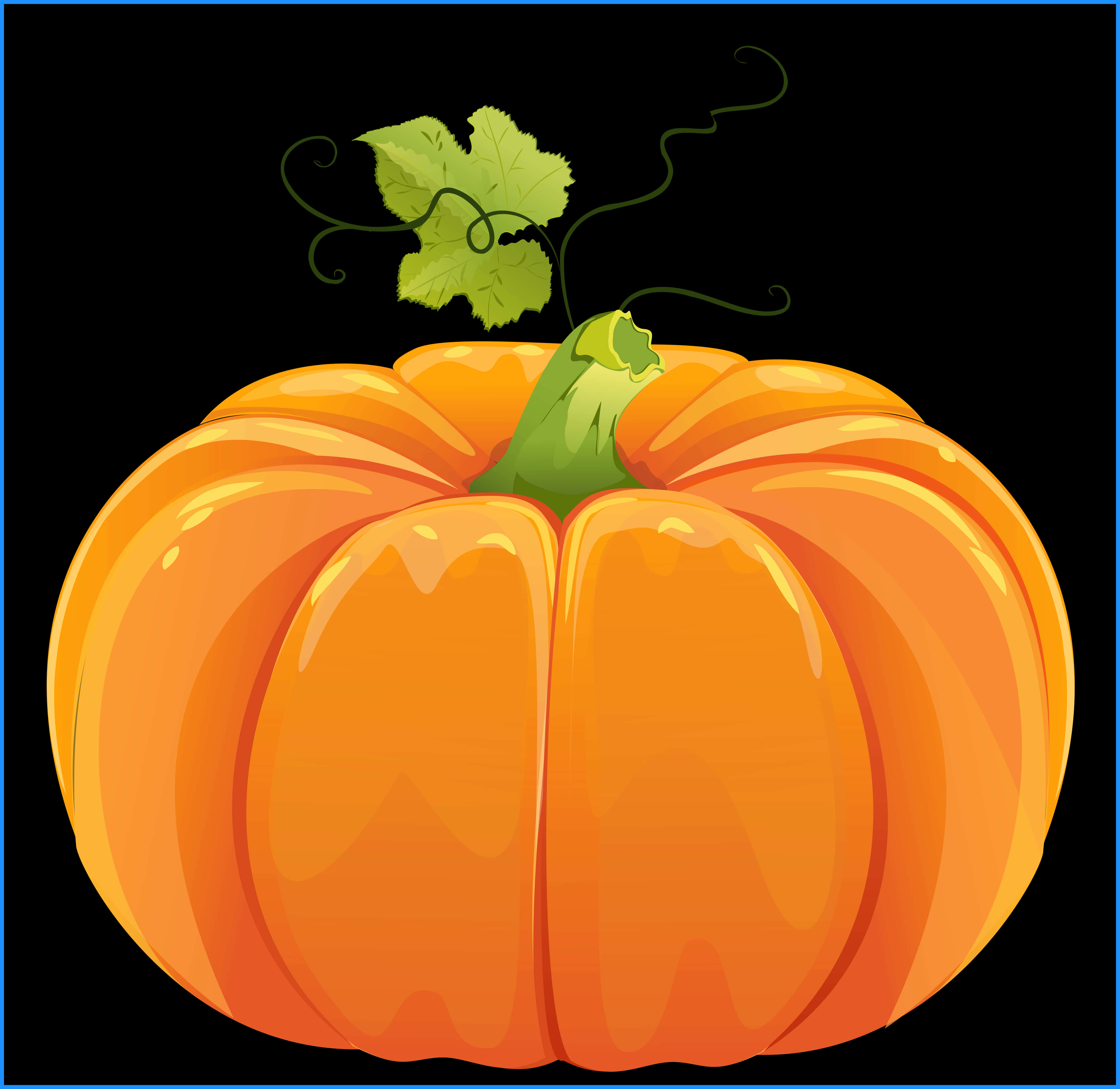 Vibrant Orange Pumpkin Illustration