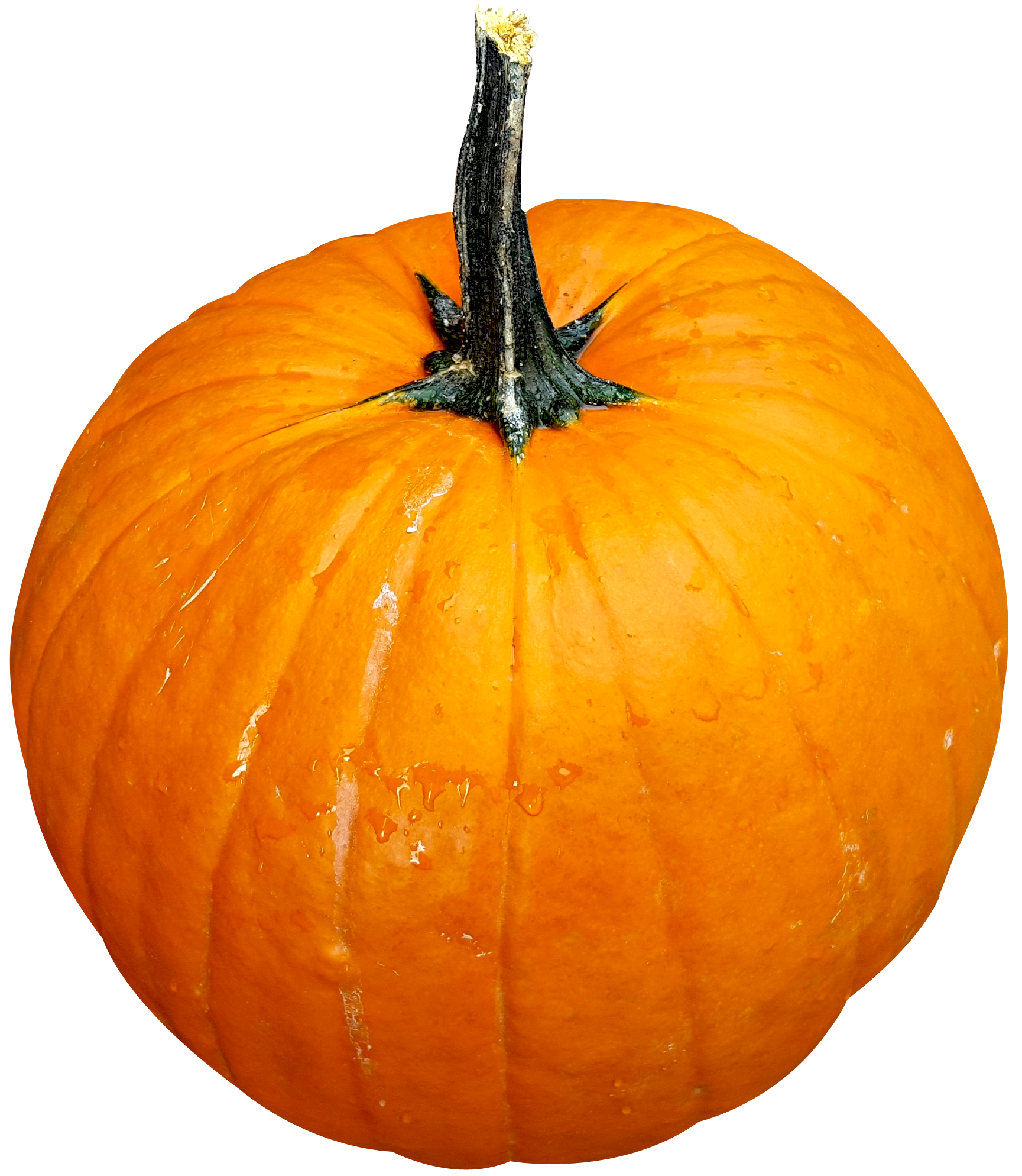 Vibrant Orange Pumpkinwith Water Droplets.png