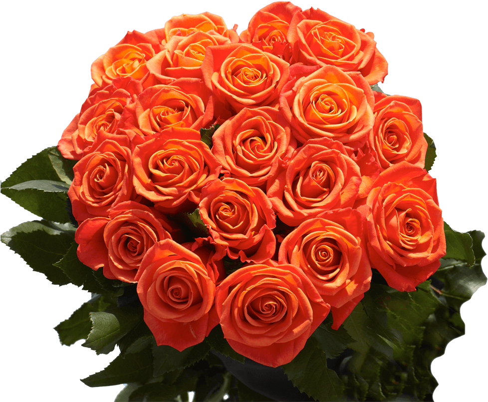 Vibrant Orange Roses Bouquet