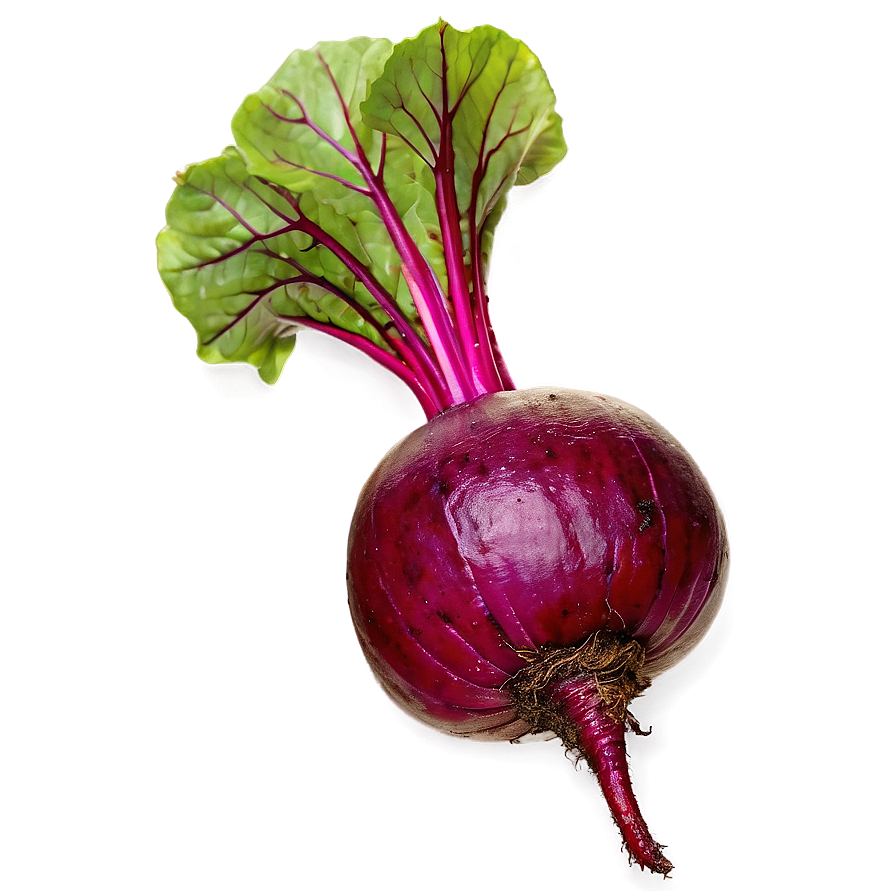 Vibrant Organic Beetroot PNG mlm PNG with transparent background
