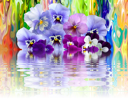 Vibrant Pansies Reflection Artwork PNG with transparent background