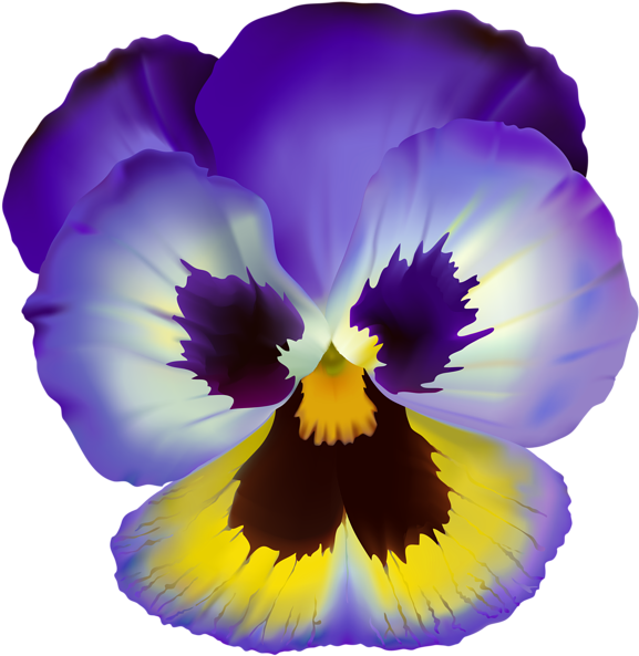 Vibrant Pansy Flower Illustration