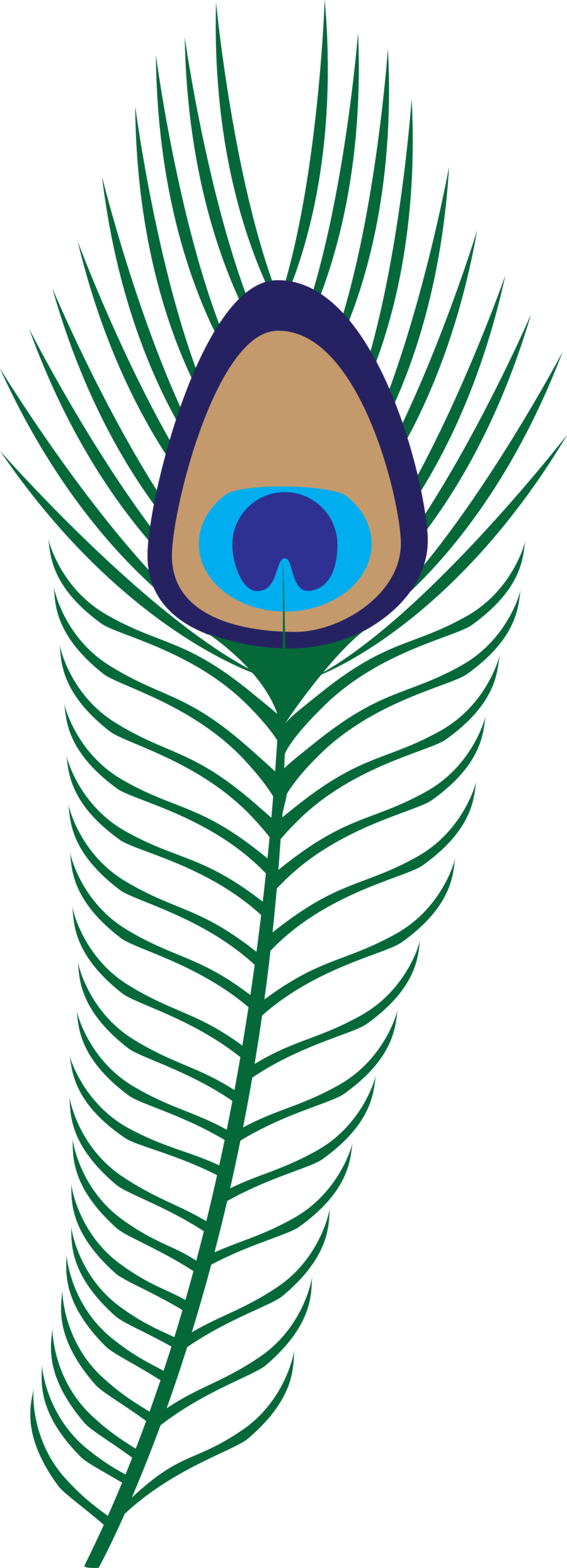 Vibrant_ Peacock_ Feather_ Graphic