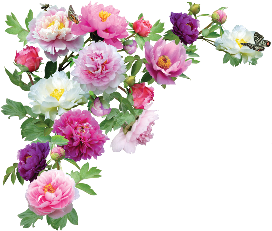 Vibrant_ Peonies_and_ Butterflies.png