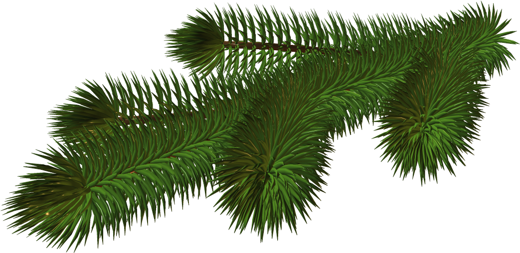 Vibrant_ Pine_ Branch_3 D_ Render PNG with transparent background