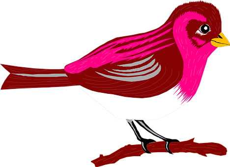 Vibrant Pink Bird Illustration PNG with transparent background