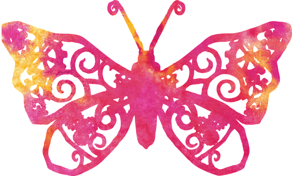 Vibrant Pink Butterfly Artwork