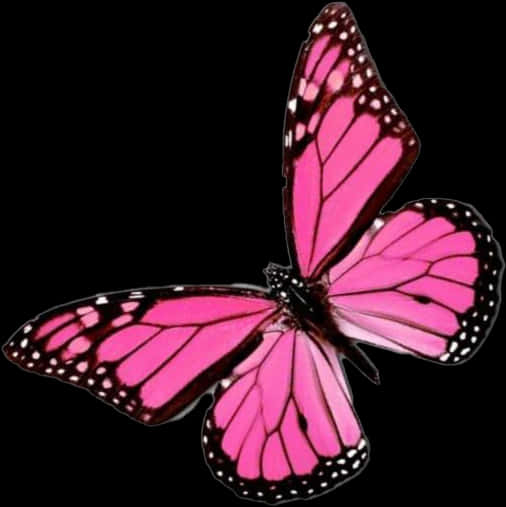 Vibrant_ Pink_ Butterfly_ Black_ Background.png