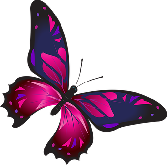Vibrant Pink Butterfly Graphic PNG with transparent background
