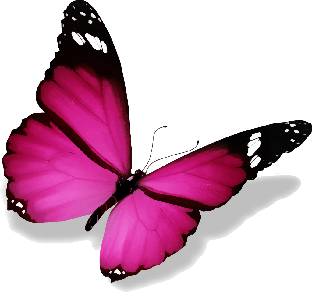 Vibrant Pink Butterfly Illustration