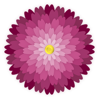 Vibrant Pink Dahlia Vector