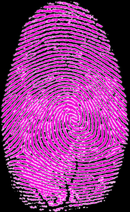 Vibrant Pink Fingerprint Pattern PNG with transparent background