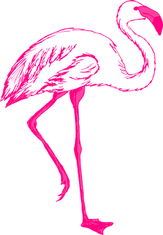 Vibrant Pink Flamingo Silhouette PNG with transparent background