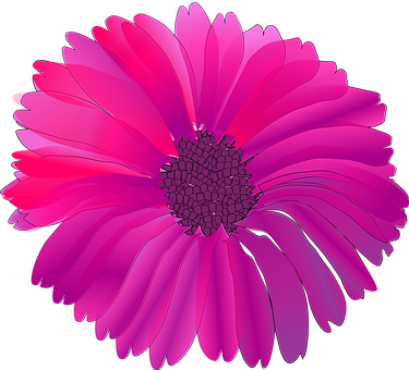 Vibrant_ Pink_ Flower_ Illustration