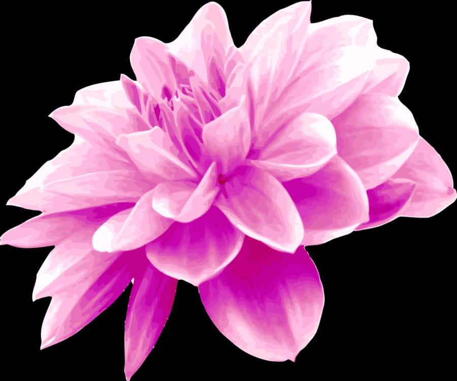 Pink,plant,flower - Light Blue Flower Png, Transparent Png PNG with transparent background