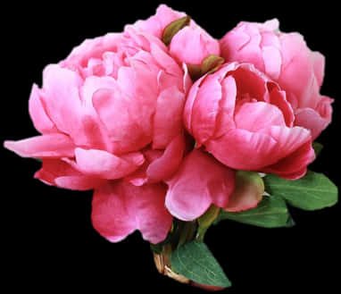 Vibrant Pink Peonies Bouquet