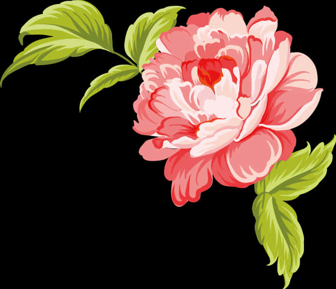 Vibrant_ Pink_ Peony_ Illustration