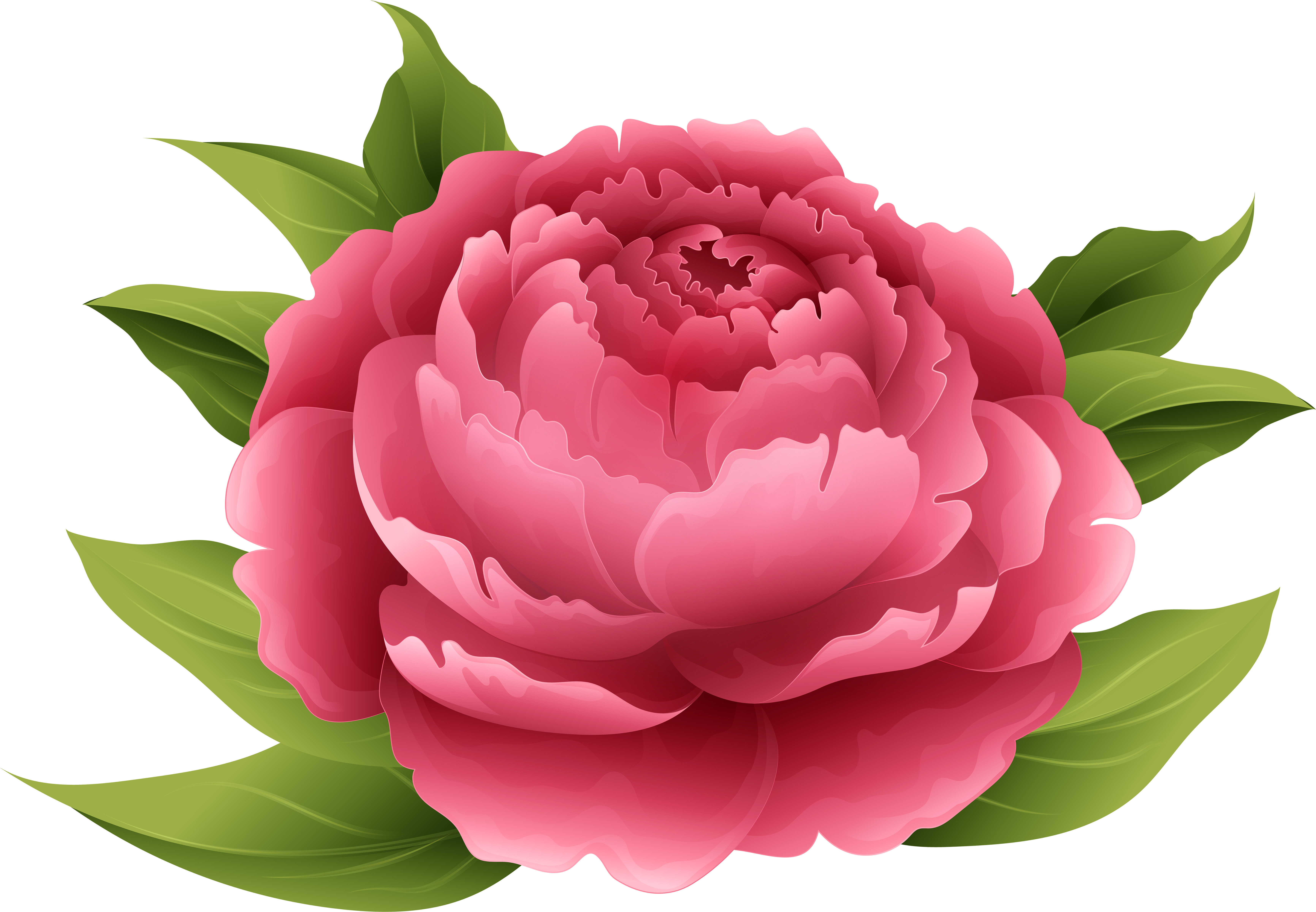 Transparent Watercolor Clipart Png - Clip Art Peonies, Png Download PNG with transparent background