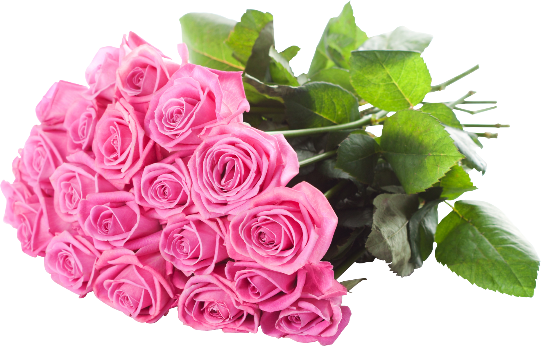 Vibrant_ Pink_ Rose_ Bouquet_ Transparent_ Background.png