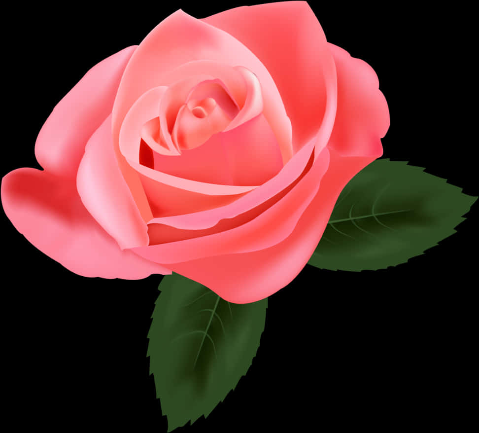 Vibrant Pink Rose Graphic