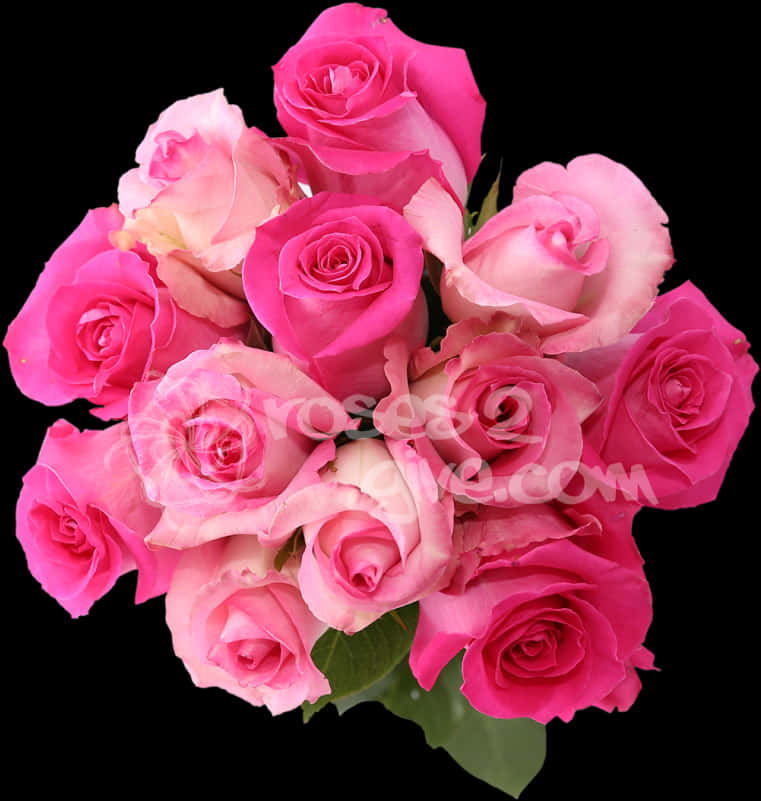 Vibrant_ Pink_ Roses_ Bouquet